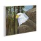 Stupell Industries Woodland Eagle's View Wall Plaque Design by Paul Brent